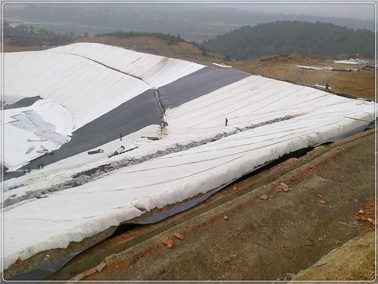 国内精品久久久久久久影视麻豆布特征参数测量及变化