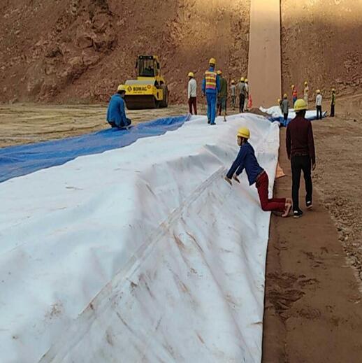 水库大坝整体防渗方案—国内精品久久久久久久影视麻豆膜成功案例