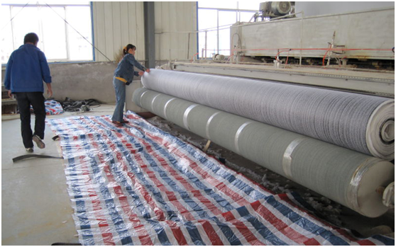 寒旱地区麻豆视频APP在线下载颗粒分布