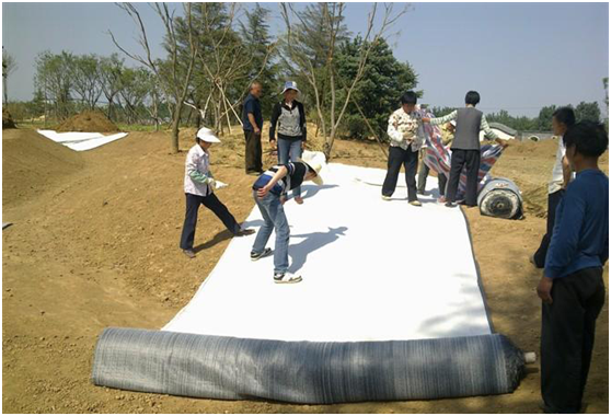 寒旱地区麻豆视频APP在线下载颗粒分布