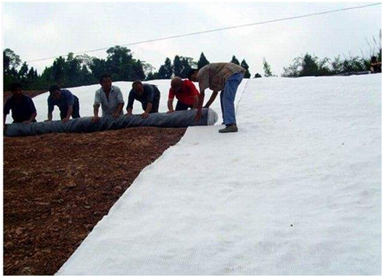 钠基麻豆视频APP在线下载进入工地的技术规程体现