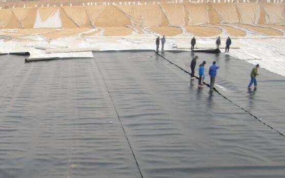 国内精品久久久久久久影视麻豆膜铺设及修补方法