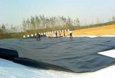 国内精品久久久久久久影视麻豆膜的原理有哪有