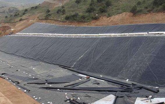 国内精品久久久久久久影视麻豆膜在养殖防渗中的应用