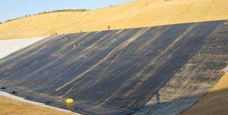 国内精品久久久久久久影视麻豆膜的原理有哪有