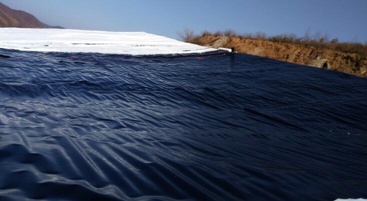 国内精品久久久久久久影视麻豆膜的抑制作用的大小取决于它的抗拉性能