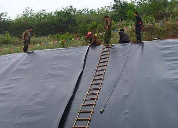 为什么说施工中越来越倾向于选择钠基麻豆视频APP在线下载呢