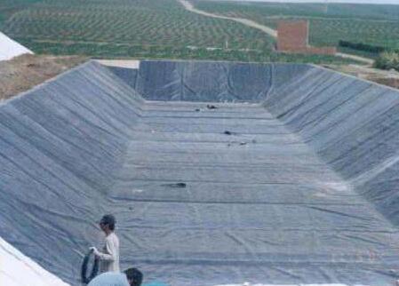 HDPE国内精品久久久久久久影视麻豆膜厂家介绍HDPE国内精品久久久久久久影视麻豆膜不被植物根系破坏的两个前提