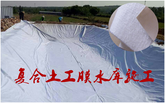 国内精品久久久久久久影视麻豆膜在底板的作用不言而喻