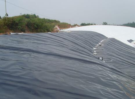 国内精品久久久久久久影视麻豆膜铺设过程的质量控制