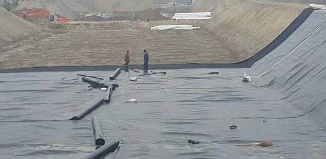 关于国内精品久久久久久久影视麻豆膜在存放时应该注意那些事项