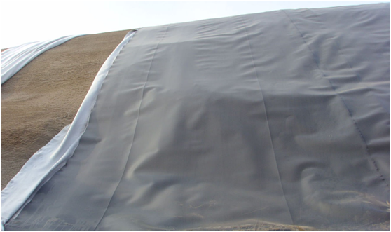 水利工程中0.5mm厚的国内精品久久久久久久影视麻豆膜粘接方法