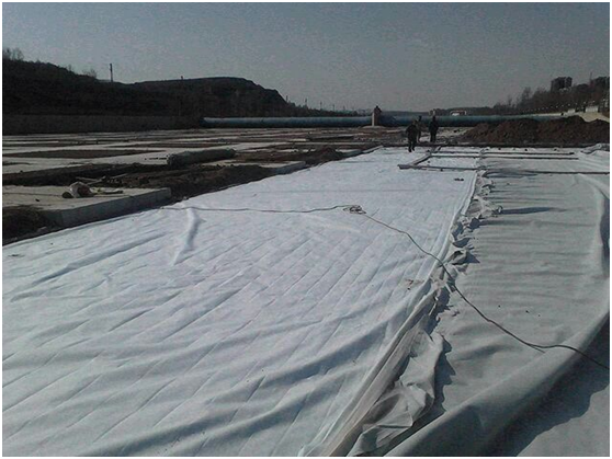 国内精品久久久久久久影视麻豆膜在大堤堤基垂直铺设的经验