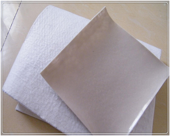 小坝塘工程采用复合国内精品久久久久久久影视麻豆膜的工程效益