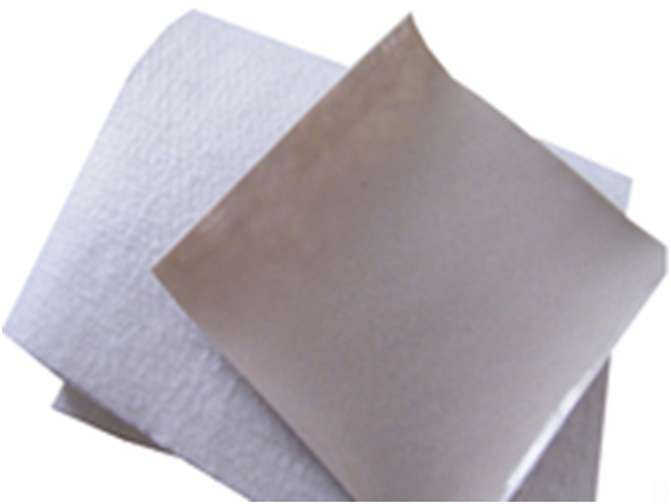 国内精品久久久久久久影视麻豆膜决胜碧水保卫战