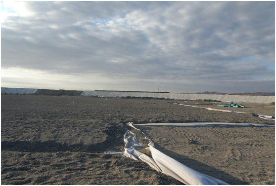 国内精品久久久久久久影视麻豆膜确保水利建筑施工整体质量