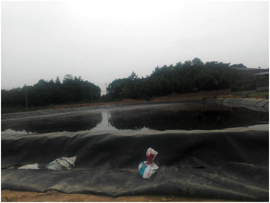 鱼塘国内精品久久久久久久影视麻豆膜怎么样施工合理呢