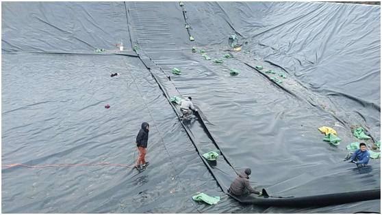 国内精品久久久久久久影视麻豆膜在填埋场填埋区域临时覆盖要求