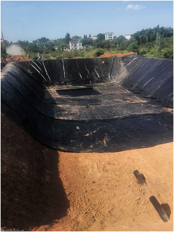 国内精品久久久久久久影视麻豆膜覆盖对渗滤液处理的影响