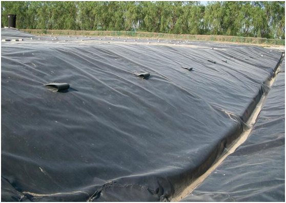 国内精品久久久久久久影视麻豆膜焊接后排雨水沟如何设计才能完美