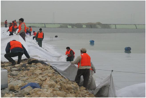 国内精品久久久久久久影视麻豆布性能介绍 水运工程如何大显神通