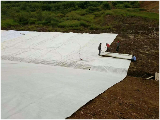 复合国内精品久久久久久久影视麻豆膜以优控缺 工程达到预期效果