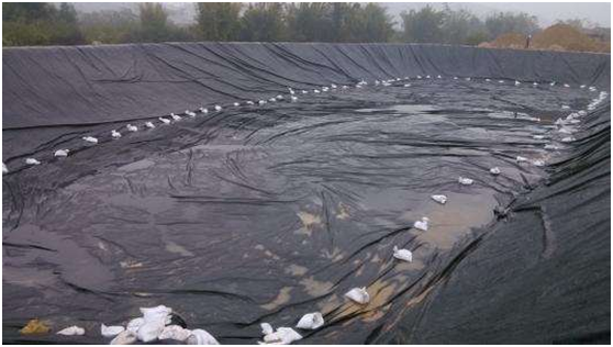 国内精品久久久久久久影视麻豆膜的拉伸强度与宽度形状约束条件有关