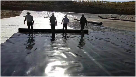 鉴于水库勘察复合国内精品久久久久久久影视麻豆膜防渗效果更好