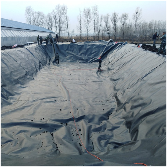 复合国内精品久久久久久久影视麻豆膜的经济效益被广泛推广