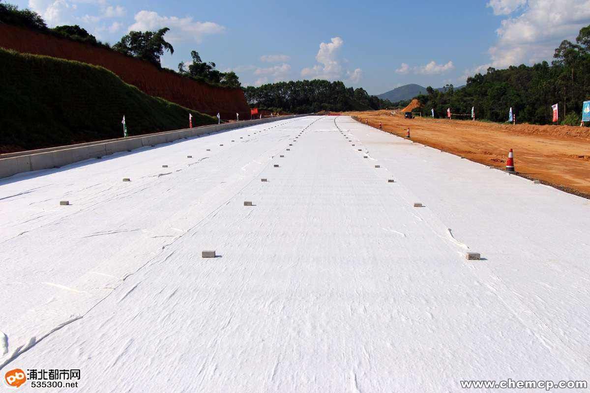 国内精品久久久久久久影视麻豆布矿区生态环境修复的综合技能