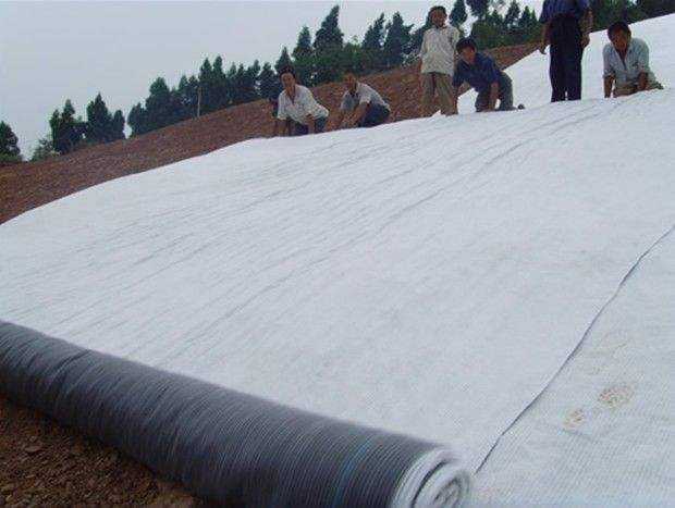 多塘生态补水系统为什么推荐天然钠基麻豆视频APP在线下载？