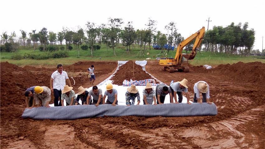 麻豆视频APP在线下载施工案例