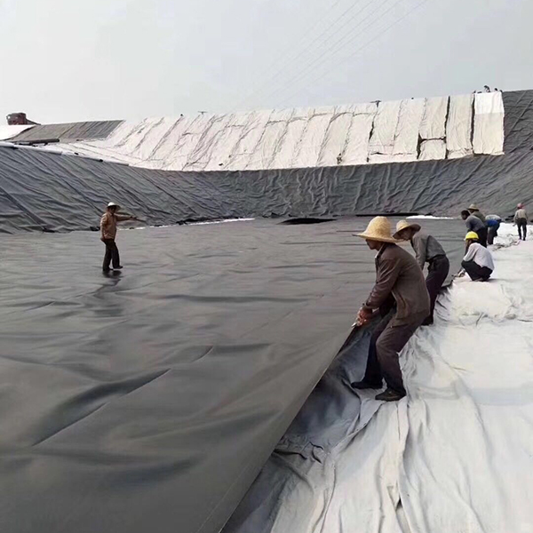 水库国内精品久久久久久久影视麻豆膜采购需要注意哪些问题？