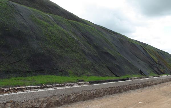 营养国内精品久久久久久久影视麻豆布