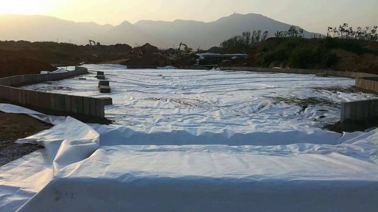 三废治理、垃圾填埋国内精品久久久久久久影视麻豆膜必定有大发展