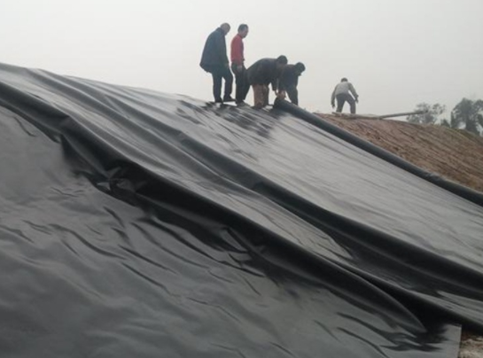 如何定义国内精品久久久久久久影视麻豆膜的适应变形能力、延伸率