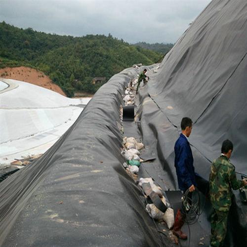 国内精品久久久久久久影视麻豆膜与溢洪闸及原坝体如何连接