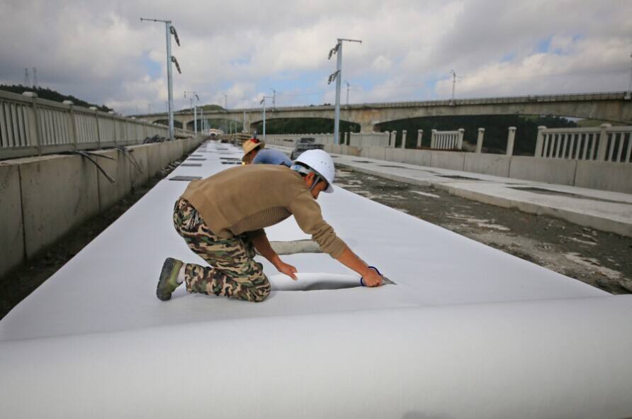 国内精品久久久久久久影视麻豆布路基排水的利用率