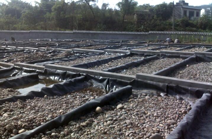 国内精品久久久久久久影视麻豆膜和防水毯用于鱼塘哪个更占优势