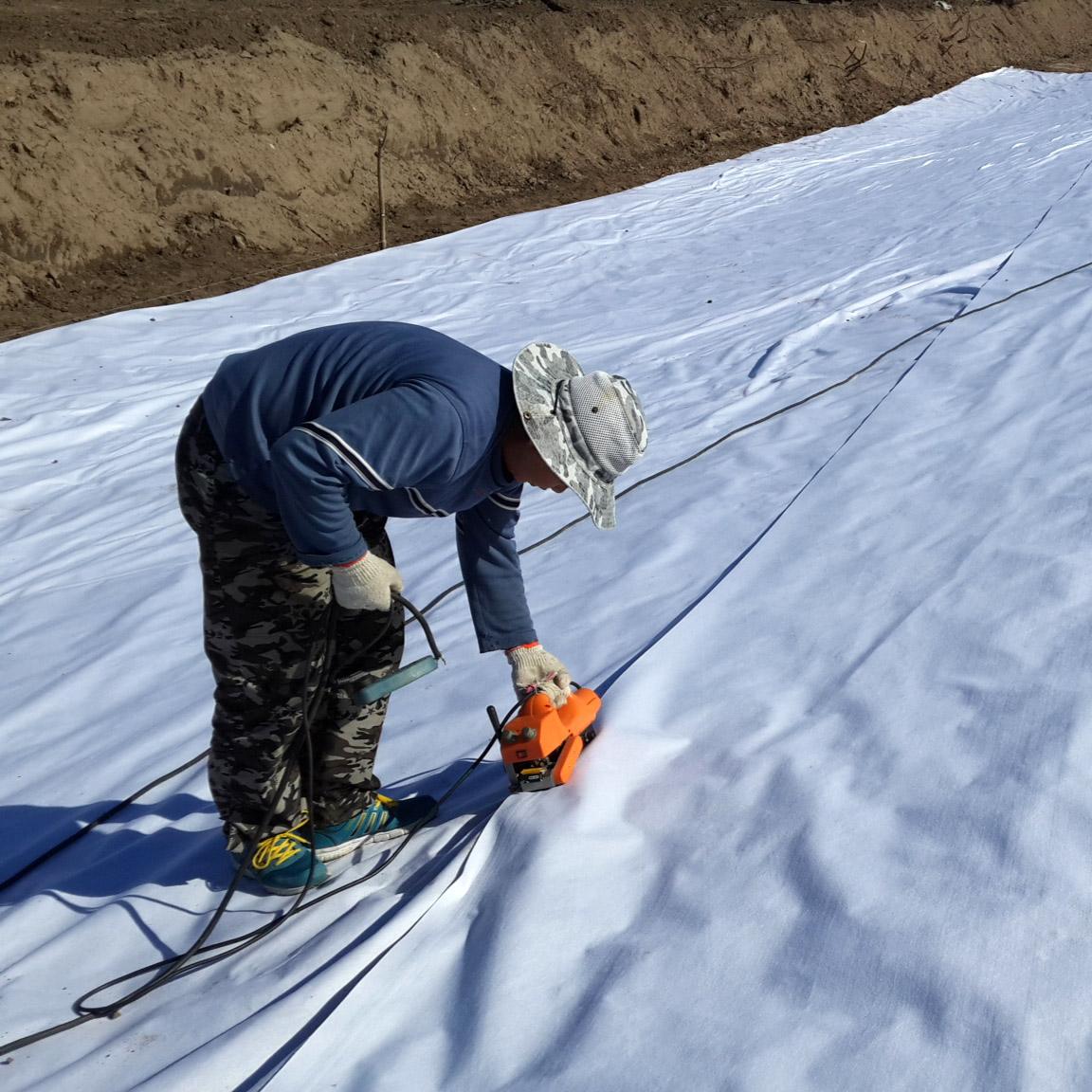 复合国内精品久久久久久久影视麻豆膜可实现堤坝自身性能和内部结构改善