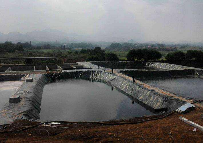 麻豆视频网址在线观看厂家分析分析复合国内精品久久久久久久影视麻豆膜施工质量管理