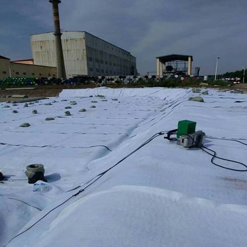 国内精品久久久久久久影视麻豆膜在总干渠在渠首尾两侧布设防渗效果