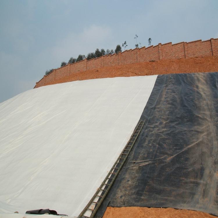 复合国内精品久久久久久久影视麻豆膜的铺设主要包括的内容