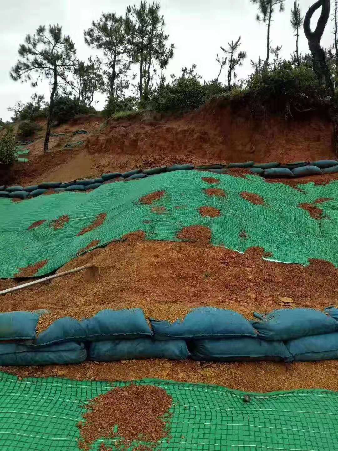 新型国内精品久久久久久久影视麻豆材料护坡建“会呼吸”的生态驳岸