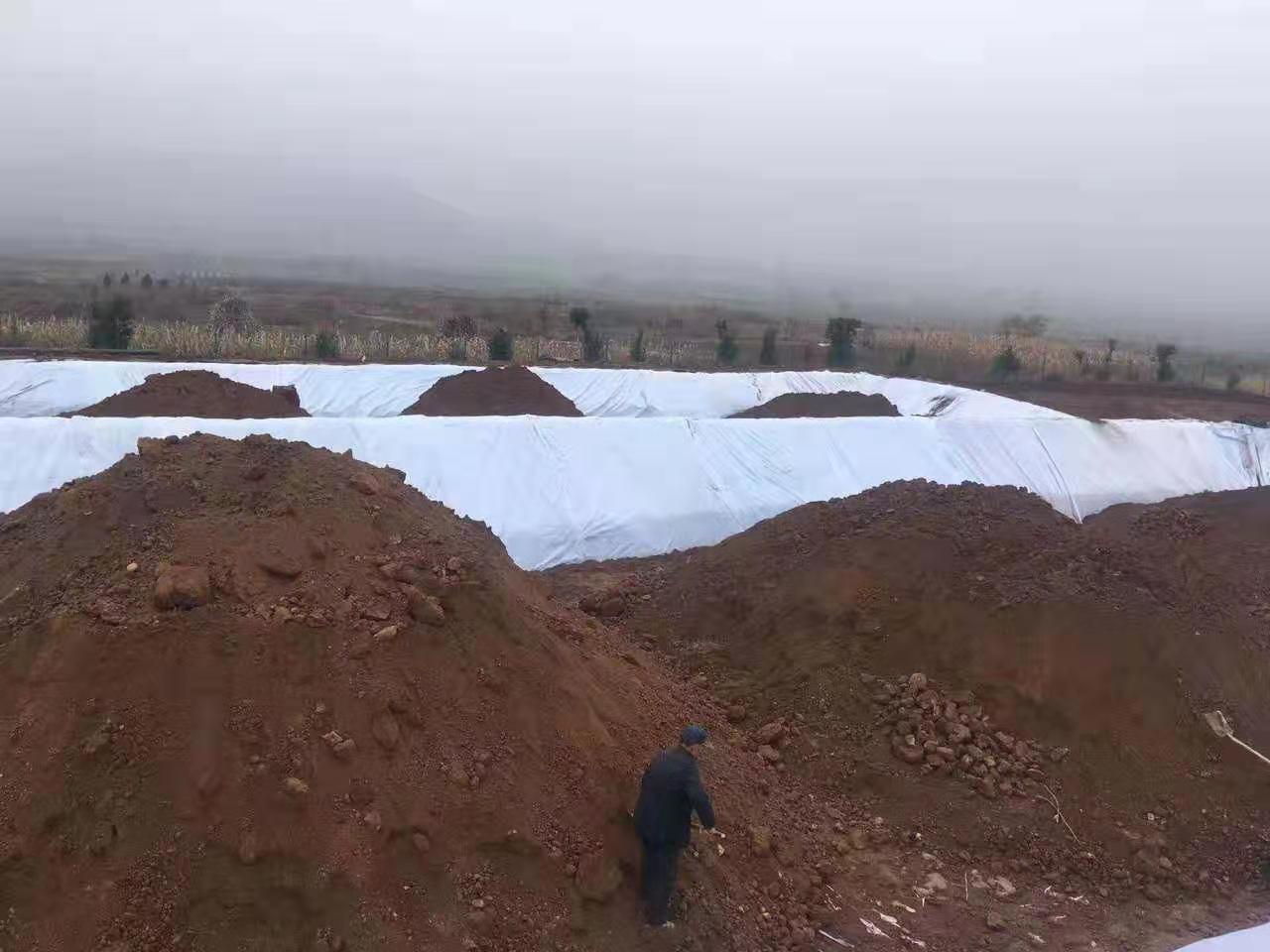 HDPE国内精品久久久久久久影视麻豆膜(莲藕专用膜)的栽培模式