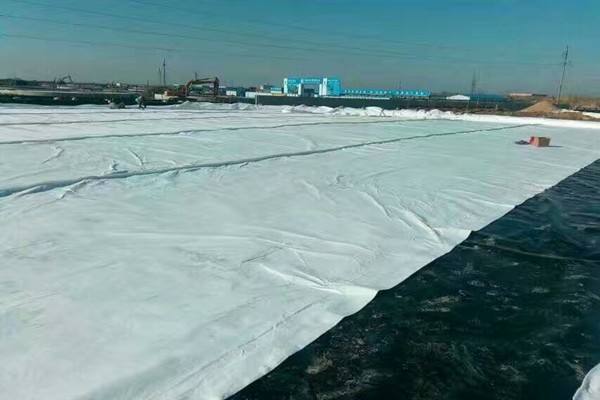 底部都是碎石的人工湖铺设国内精品久久久久久久影视麻豆膜的利与弊