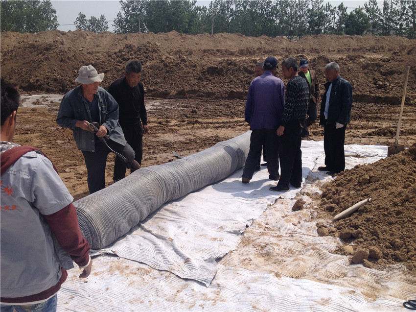 如何克服麻豆视频APP在线下载铺设难度？