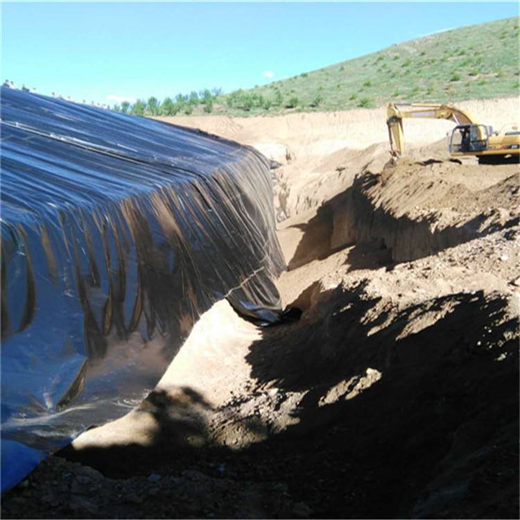 近年来国内精品久久久久久久影视麻豆膜被评为优质经济的国内精品久久久久久久影视麻豆防渗材料