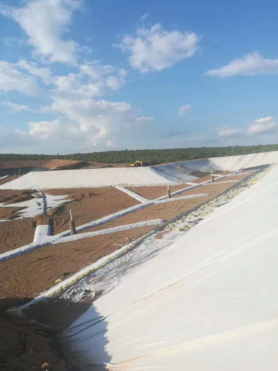 垃圾填埋场坡角与国内精品久久久久久久影视麻豆膜内力之间关系