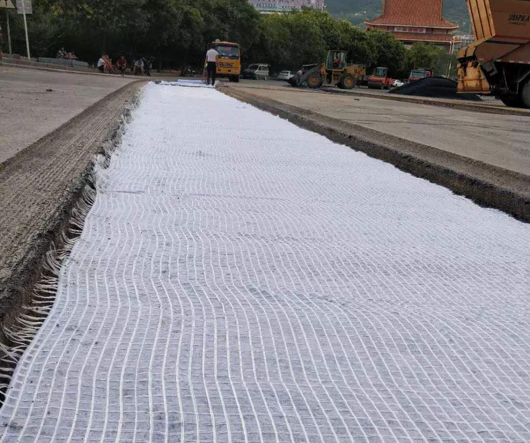 采用国内精品久久久久久久影视麻豆布加筋处理堤防成功案例